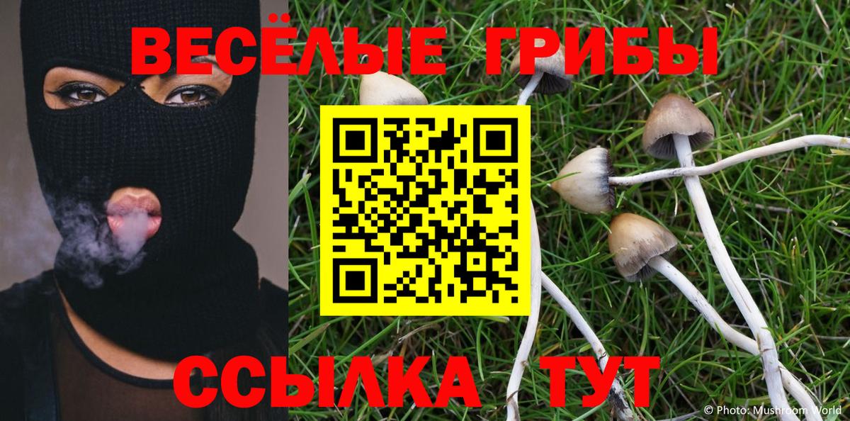 Галлюциногенные грибы Cubensis  что такое наркотик  Красногорск  Вход с VPN 