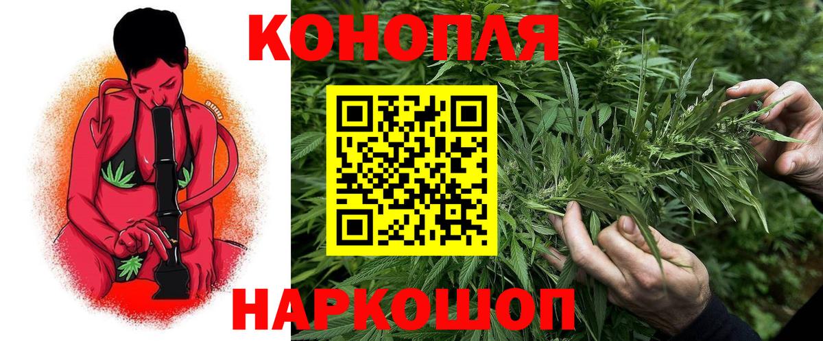 Шишки марихуана OG Kush Красногорск